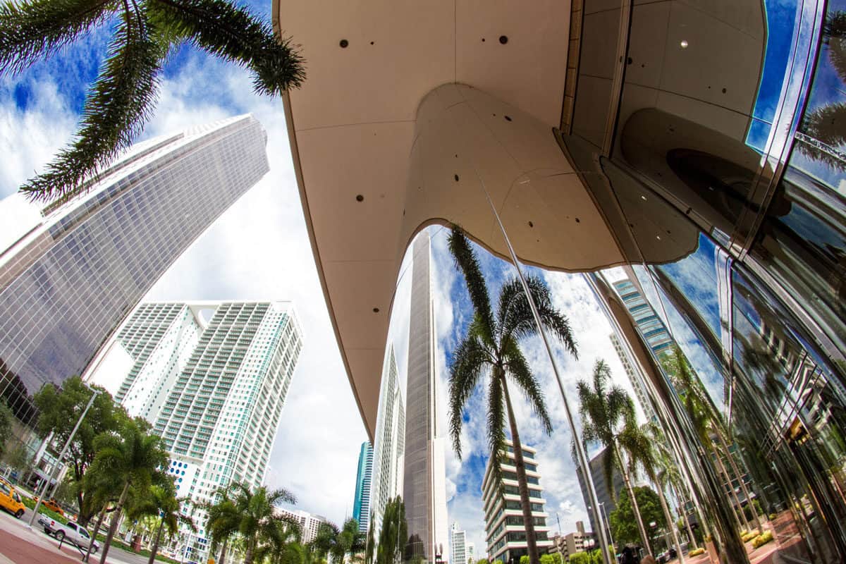 Modern buildings with palm trees reflected in the windows in Miami Florida. 