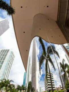 Modern buildings with palm trees reflected in the windows in Miami Florida.