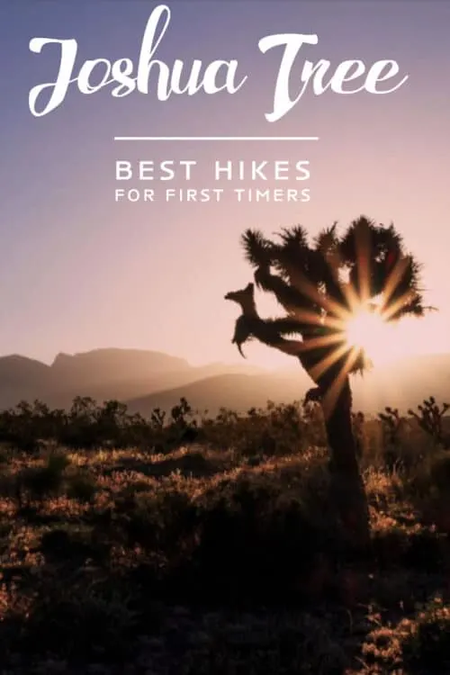 Looking for the best hikes in Joshua Tree National Park? Here are some of the best hikes for first time visitors as well as loads of tips on visiting Joshua Tree. 

#joshuatree #hiking #california #joshuatreeNP