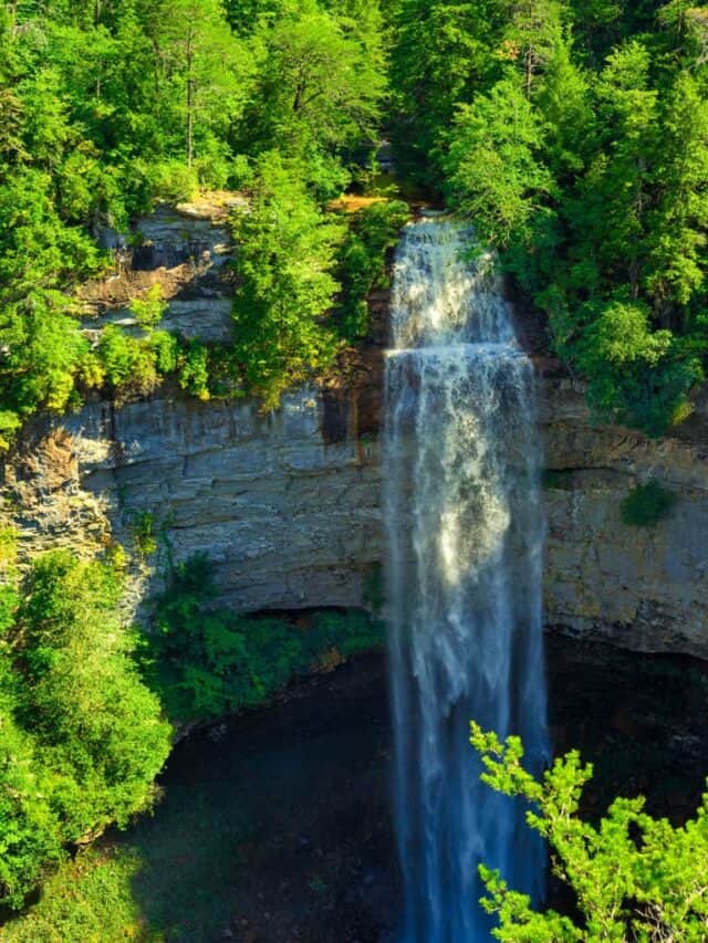 Best Hiking in Nashville For Outdoor Enthusiasts Story