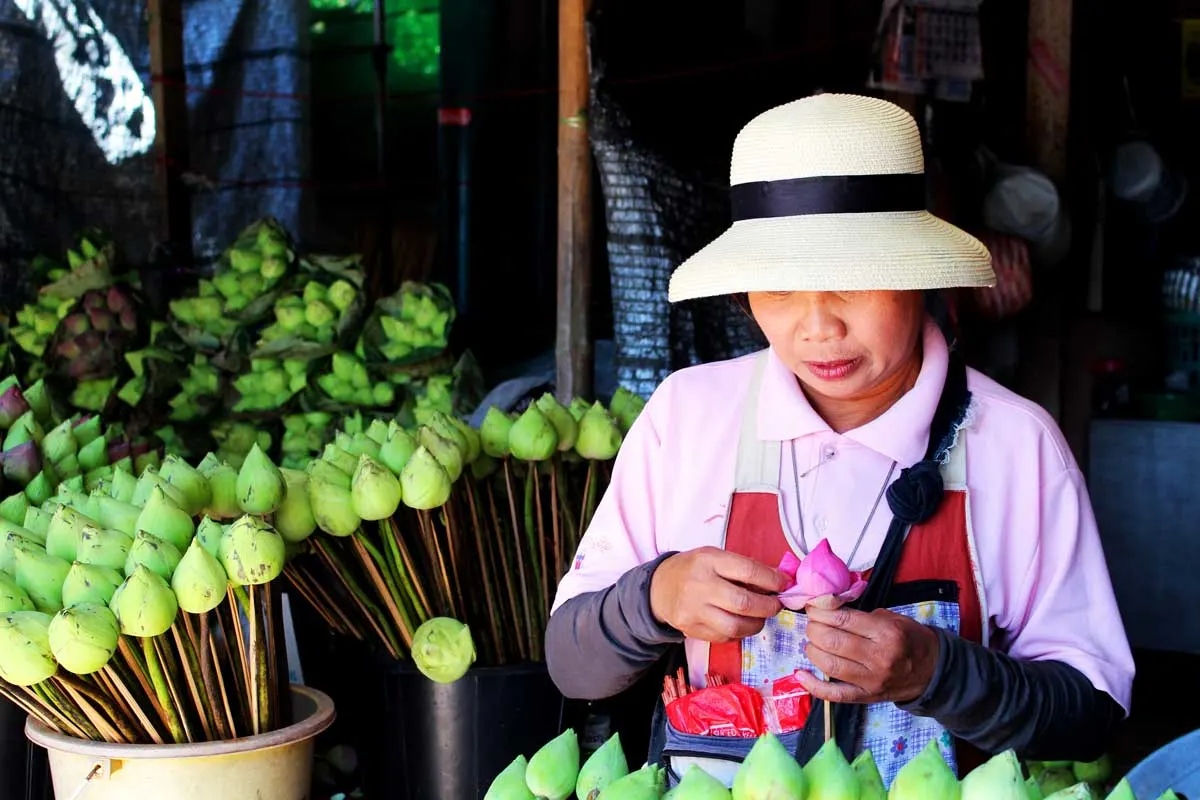 Thai Lady preparing lotus flowers at a market in Chiang Mai