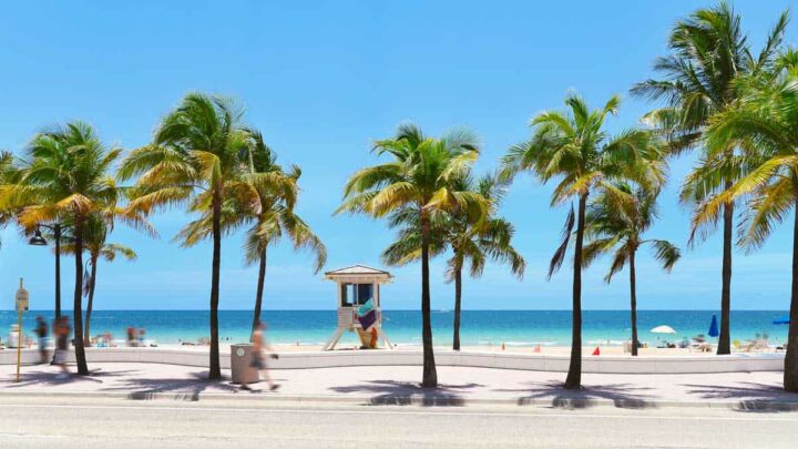 10 Incredible Day Trips From Fort Lauderdale