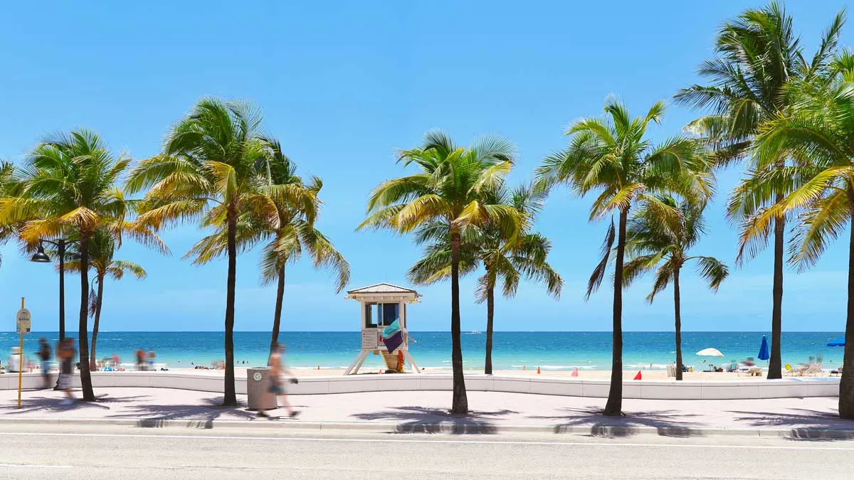 Palm fringed beach, white sand, clear blue water in Las Olas Fort Lauderdale.