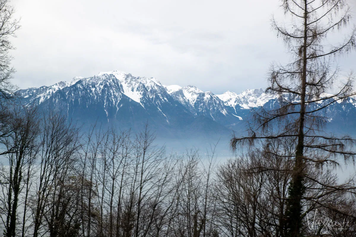 Bare trees reveal a misty lake and the Swiss Alps