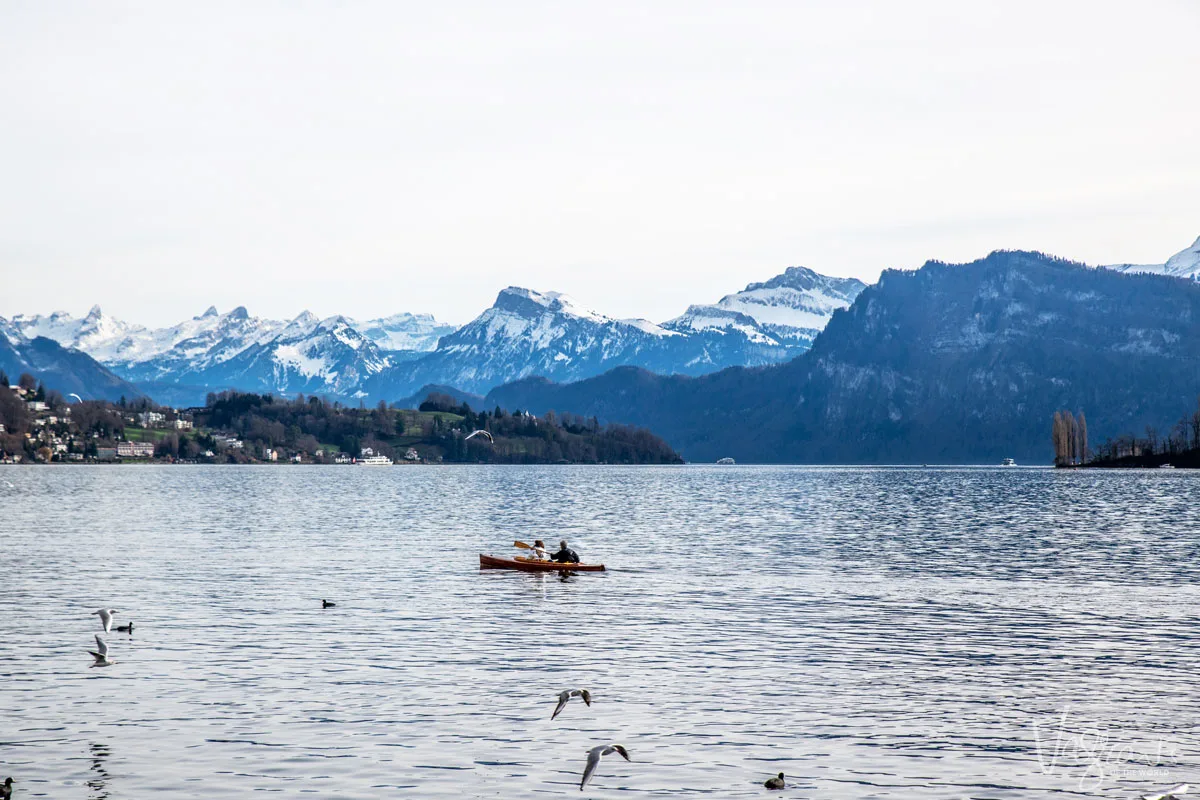 People kayaking across Lake Lucerne with the Swiss Alps in the background