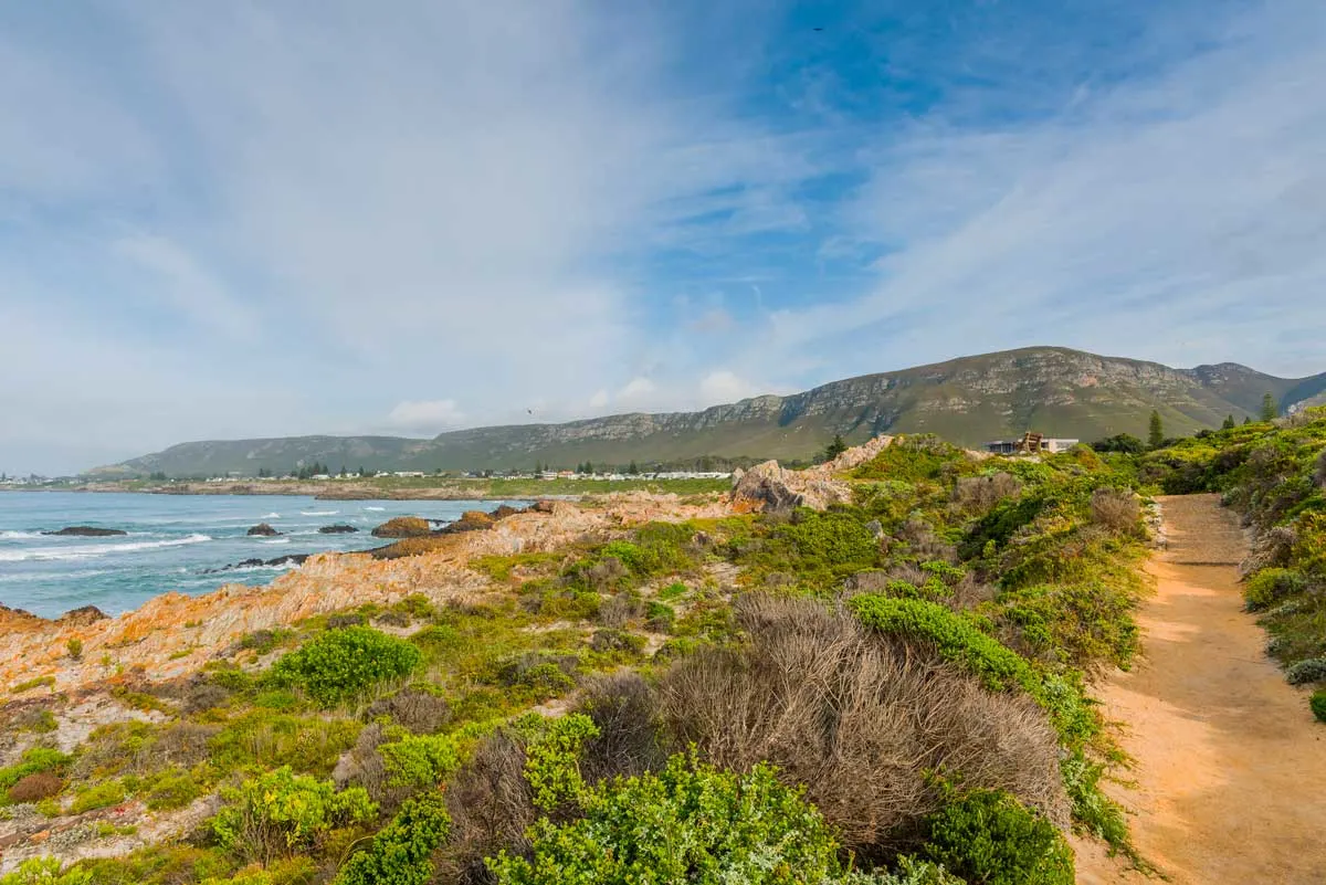 Cliff Path at Hermanus South Africa. Whale watching from the path from June to December makes it one of the most popular day trips from Cape Town