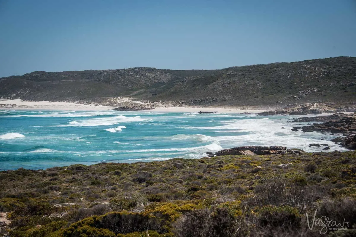 Cape Point Nature park is an easy day trip from Cape Town and a nature lovers delight with loads of interesting hikes and coastal region to explore.