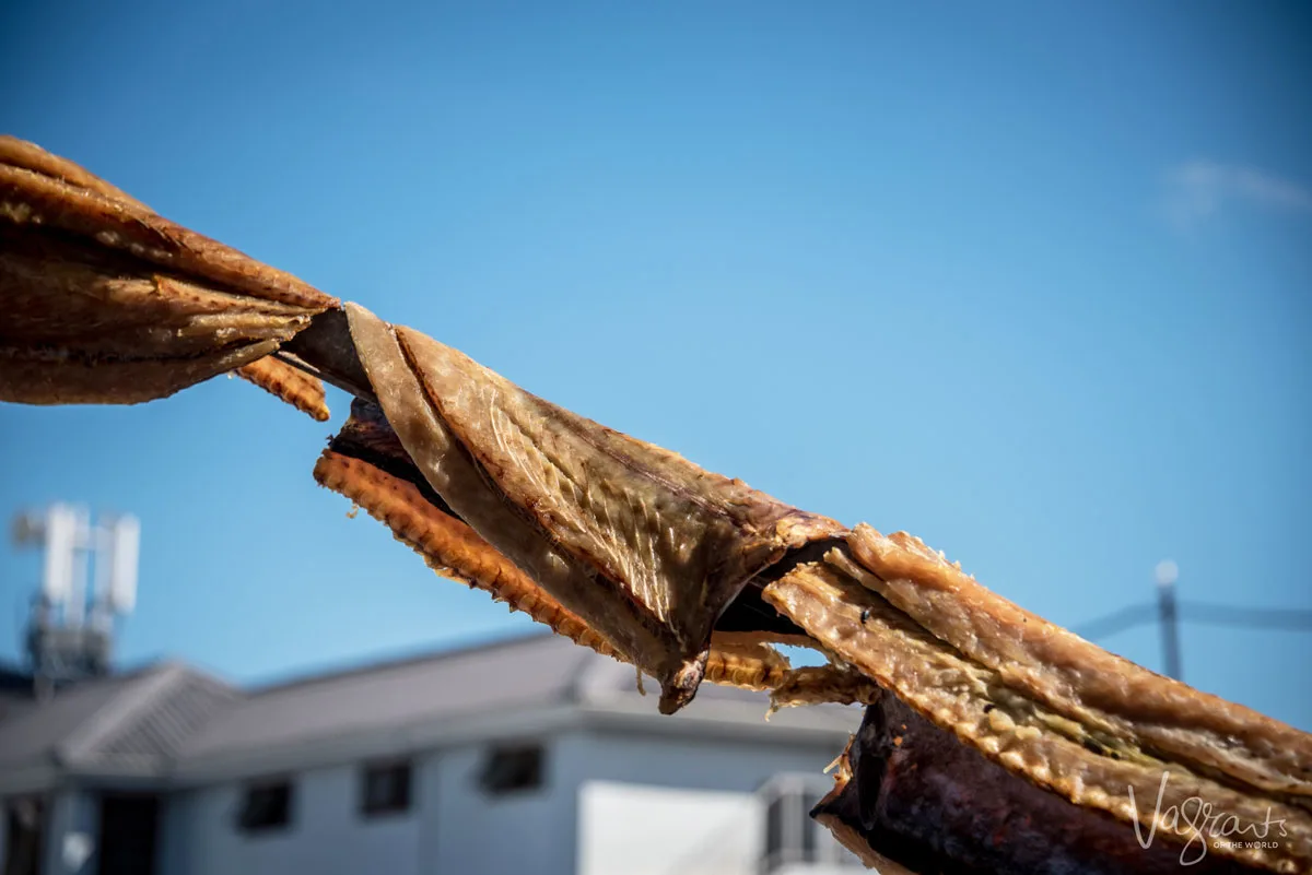 Fish drying in the sun. Cape Bokkoms is a popular snack in Paternoster South Africa