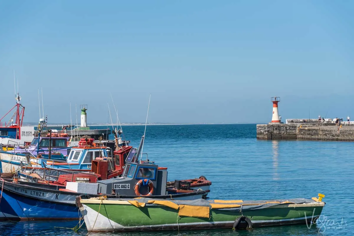 Colourful boats moored in Kalk Bay harbour. A popular place to stop for seafood at the many excellent restaurants 