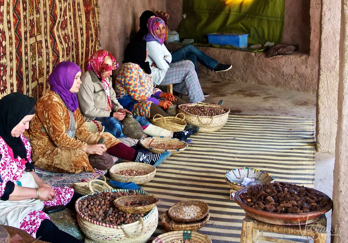 Moroccan ladies in traditional Berber village sorting Argan nuts to make Argan oil.