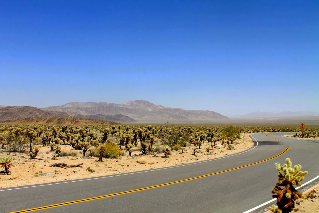 Looking down the highway in Joshua Tree on a day trip to Joshua Tree NP