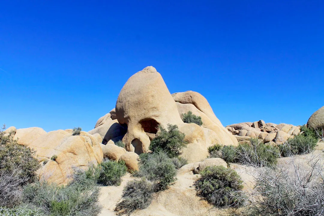 Skull Rock is one of the ost famous rocks in Joshua Tree and easy to see on a day trip