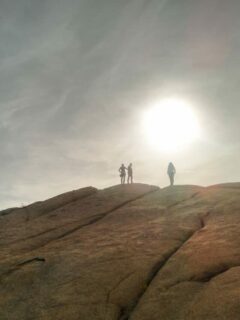cropped-Joshua-Tree-Hiking.jpg