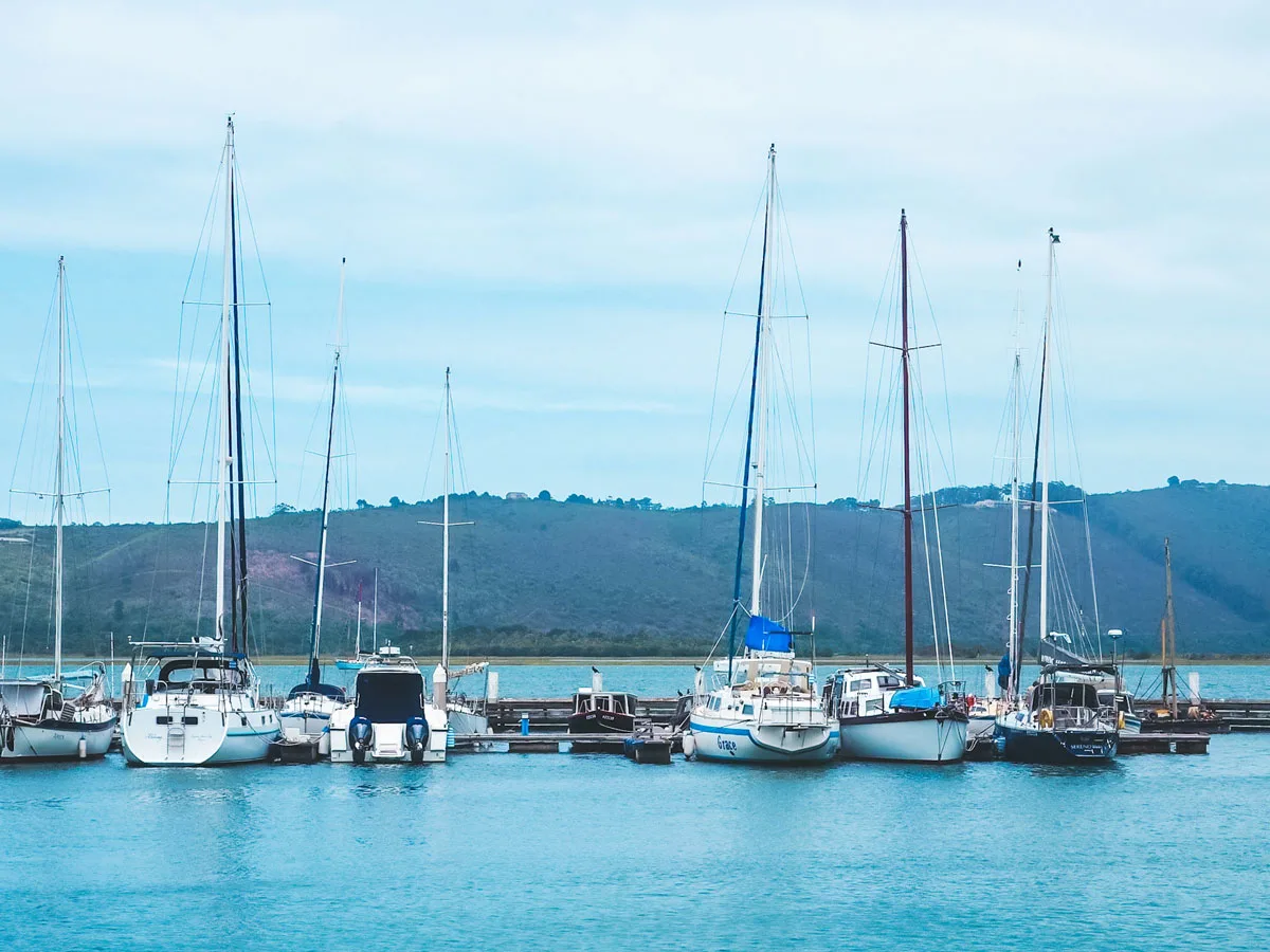 Yachts moored on the Knysna Waterfront