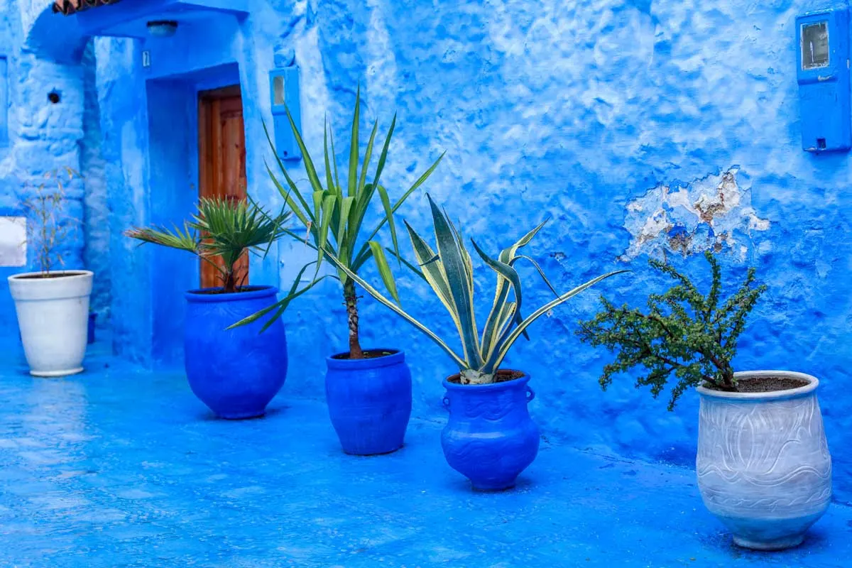 Blue tiles, blue pots, blue walls this is Chefchaouen.