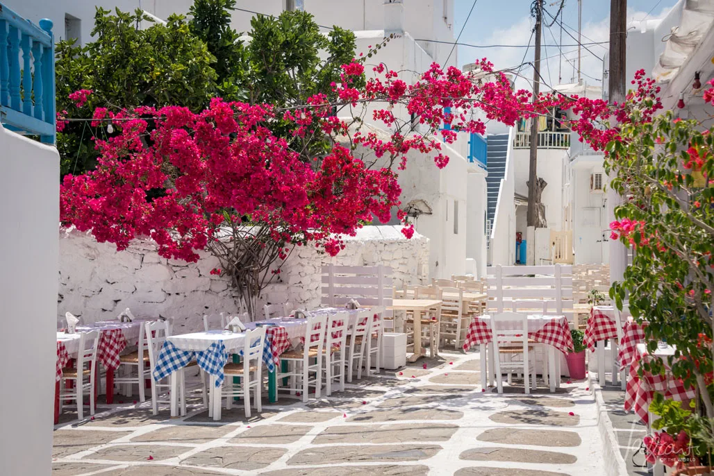 Red flowered vines hanging over typical greek restaurant white tables and checkered cloths.