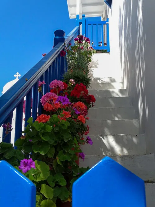 Flowers and blue railings on whitewashed steps, simply Mykonos.