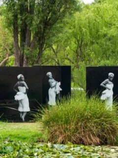 cropped-Nirox-Sculpture-park.jpg