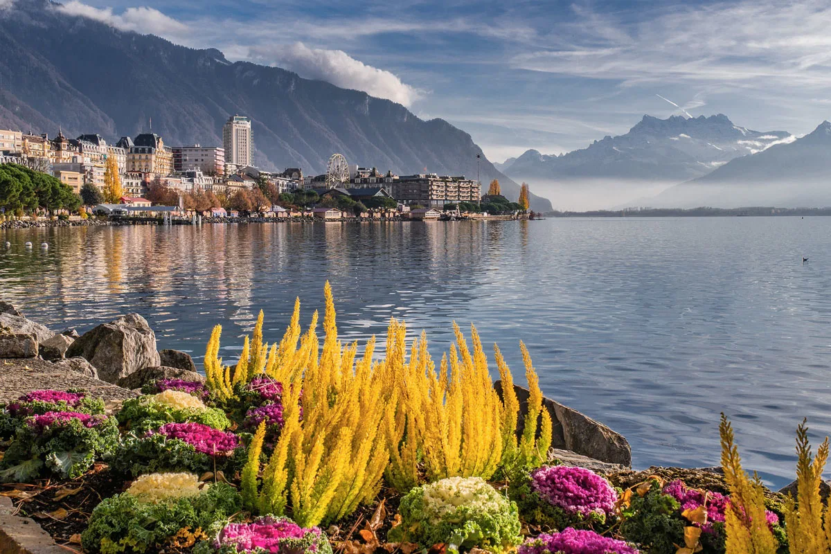 Bright yellow, pink and green flowers along the edge of lake Geneva Montreux