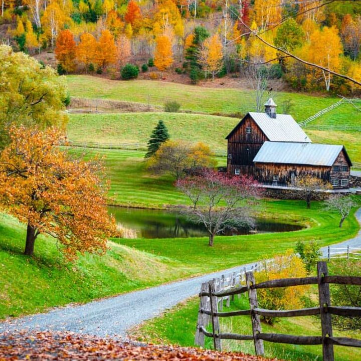 Winding road leading to a farmhouse and autumn trees in fall, New England