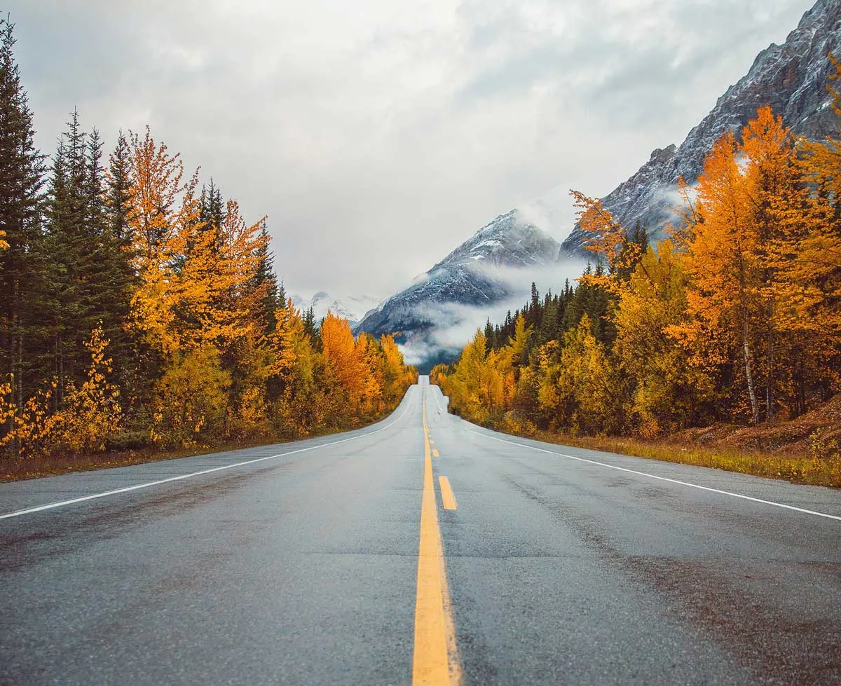 Cruising down a Canadian highway lined with golden trees and misty mountains.