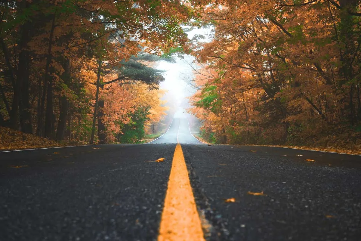 Autumn road trip through Ontario countryside in fall colour