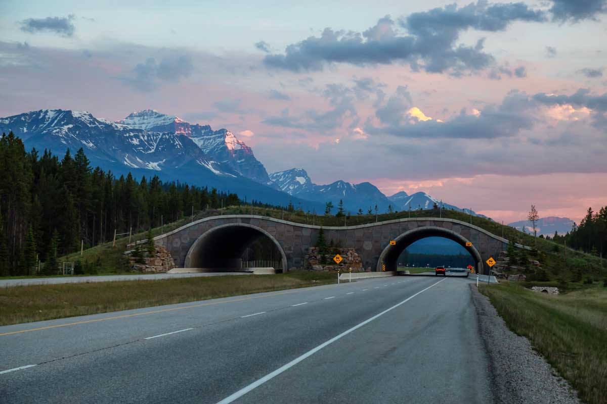 Tunnel bridge over the trans Canada Highway at sunset.