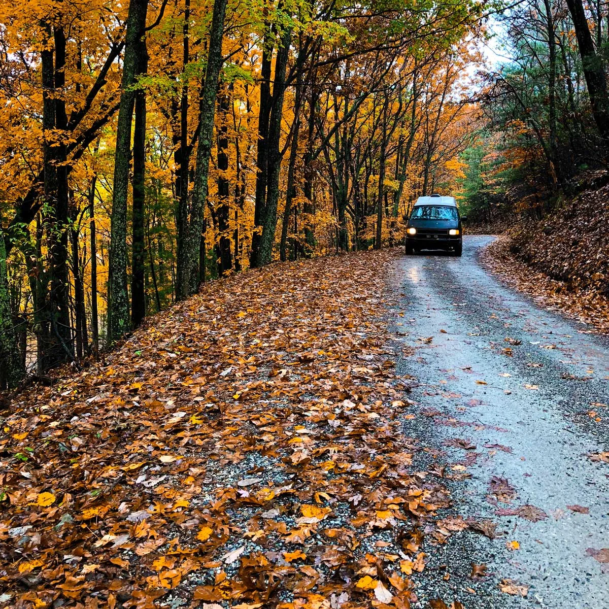 A car drives along a road with bright coloured fall colours on either side on the Blueridge parkway