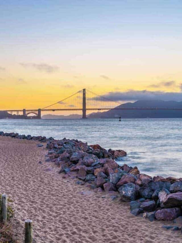 Best Picnic Areas in San Francisco Story