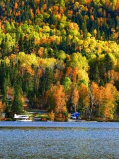 cropped-Fall-in-Quebec-1.jpg