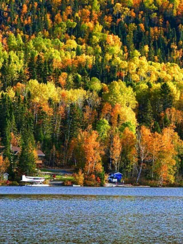 Fall Colors in Quebec and the Best Places to See Them Story