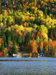 cropped-Fall-in-Quebec.jpg