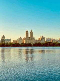 View of New York skyline over the river.
