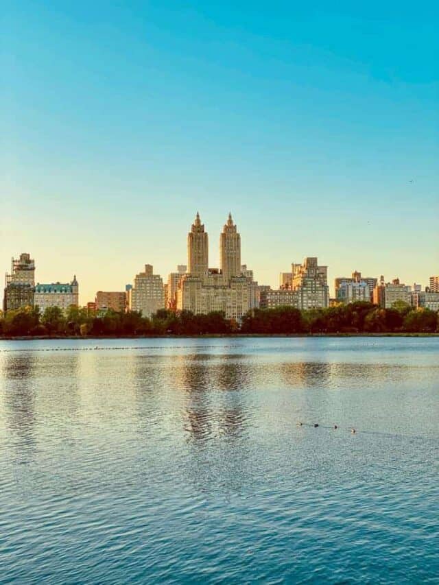 5 Best Picnic Spots in NYC Story
