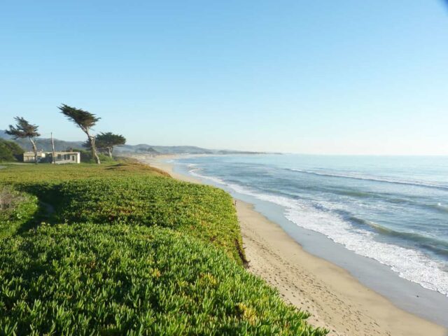 Best Picnic Areas in San Francisco | Vagrants Of The World Travel