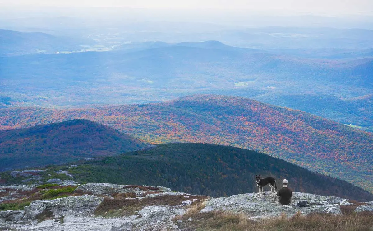Man and dog taking in the fall view in Vermont