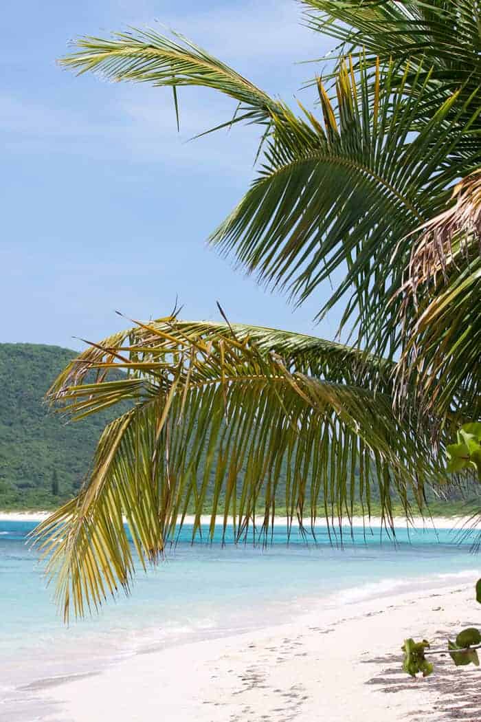 Beach at Isla de Culebra