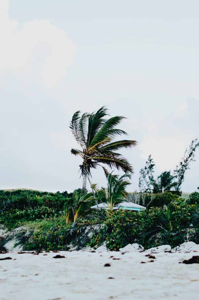 Windy day in Culebra