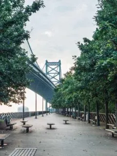 Picnic tables along a tree lined walkway under a large bridge in Philadelphia.