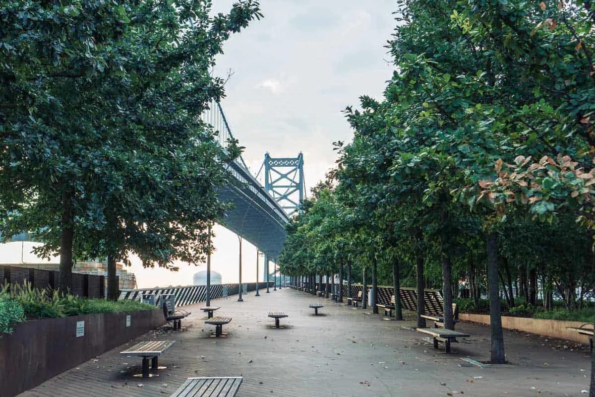 Picnic tables along a tree lined  walkway under a large bridge in Philadelphia. 