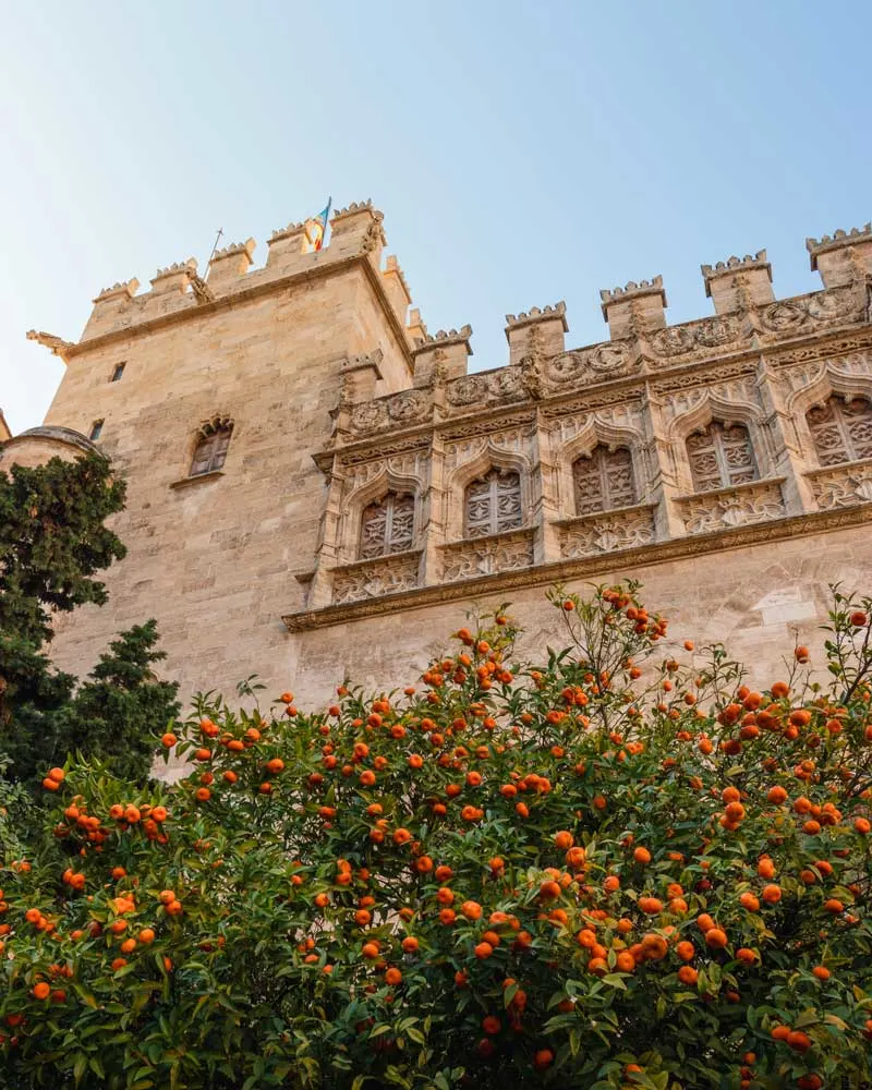 Flowers outside the medieval building housing the silk market.