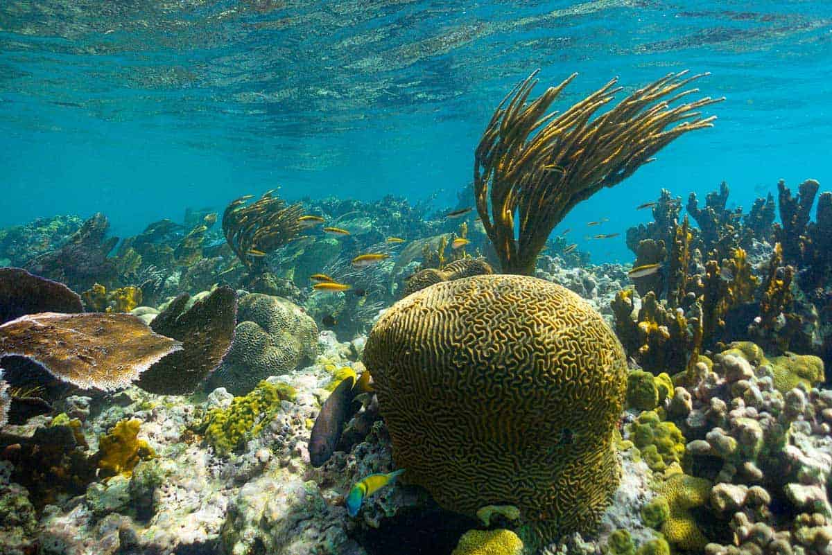 visit culebra island