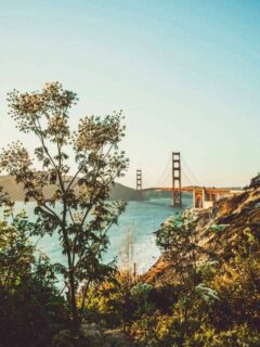 Views over the San Francisco Bridge.