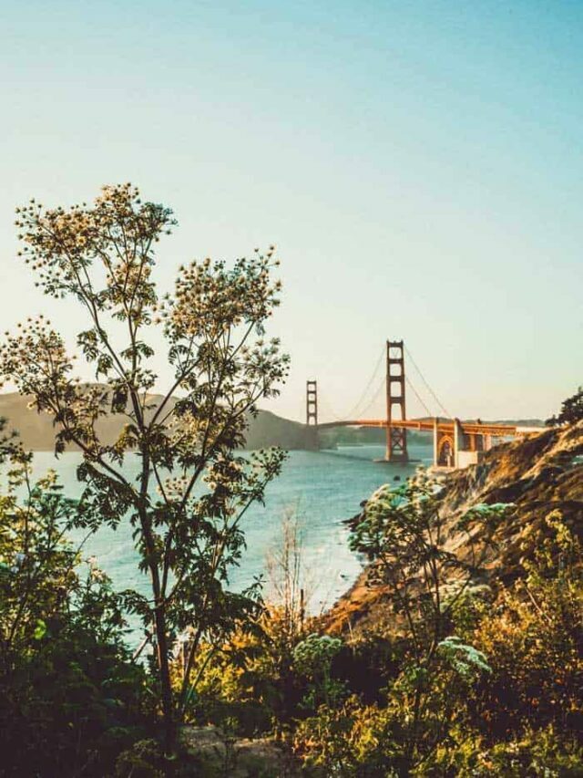5 Gorgeous Bay Area Picnic Spots Story
