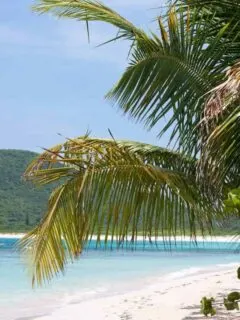 cropped-Culebra-Island-Puerto-Rico.jpg