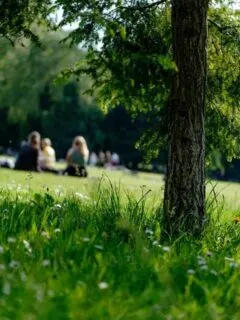 cropped-Philadelphia-Picnic.jpg