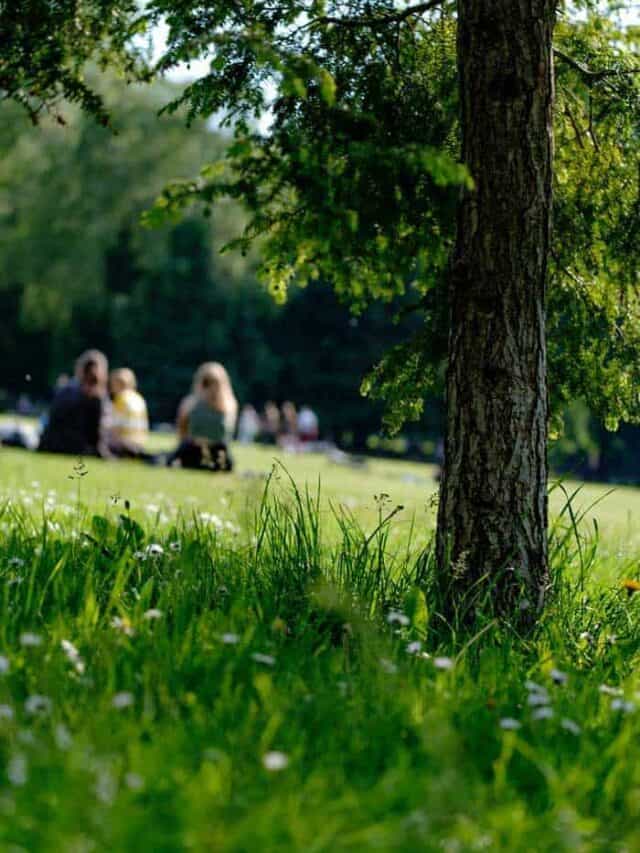 6 Best Picnic Spots in Philadelphia Story