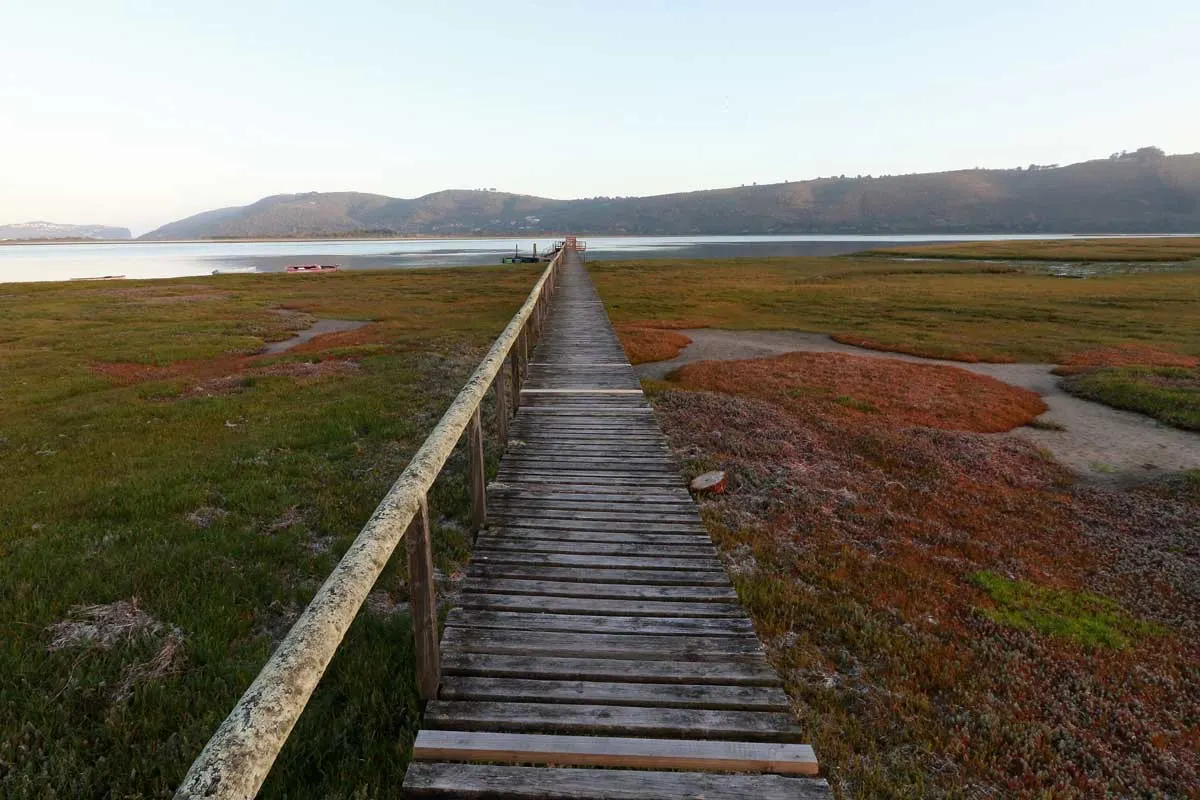 Wooden walkway across wetlands to Knysna Lagoon.