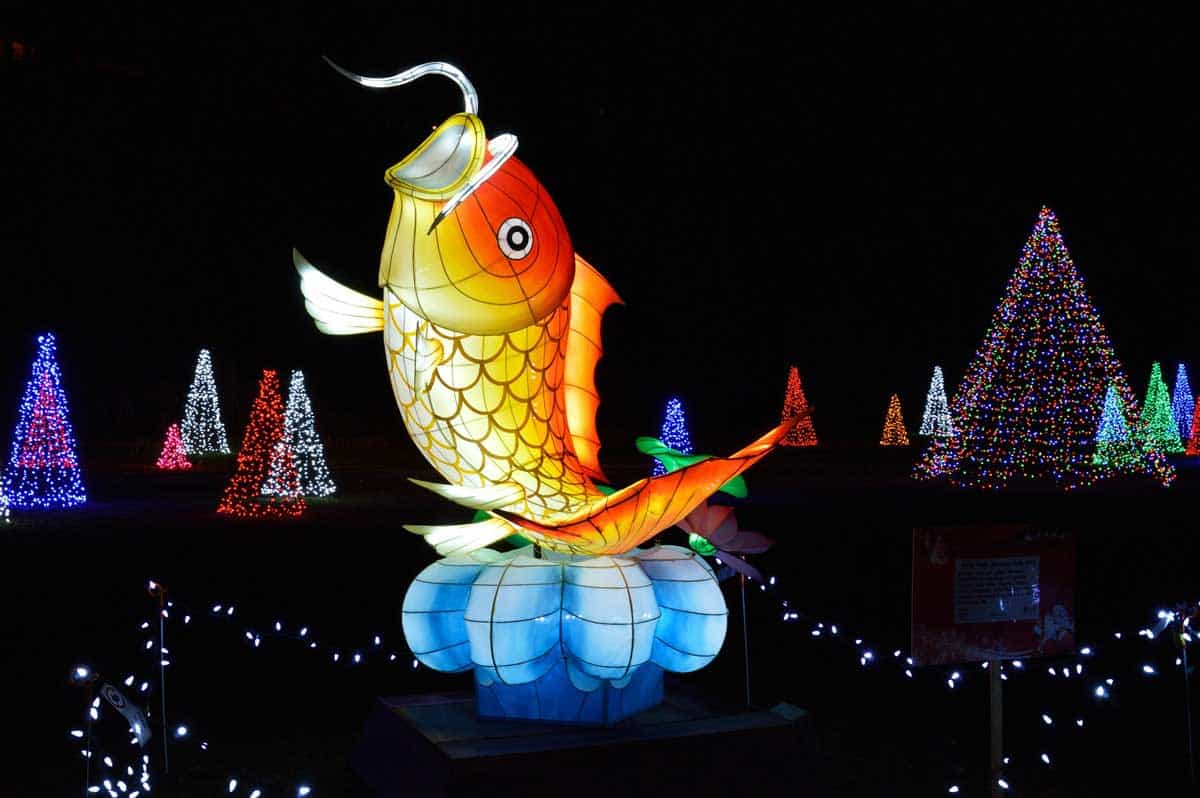 On the Canada side is the Niagara Falls Winter Festival Of Light, colourful trees and a giant Koi fish are some of the sights to see.
