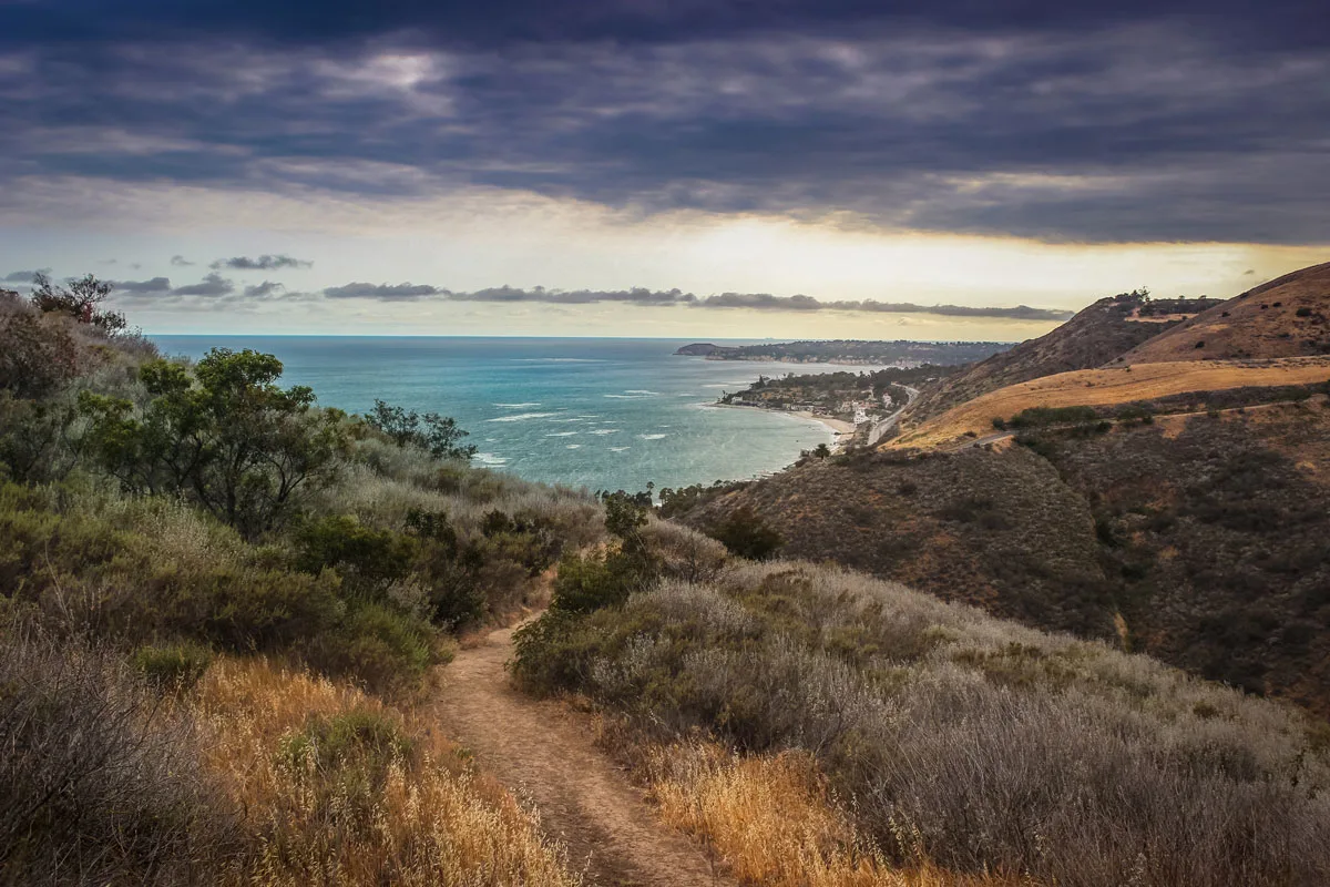 Ocean views from Corral Canyon Trail Loop in Malibu. 